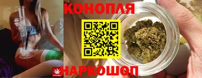 метадон Гатчина